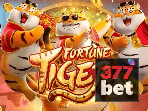 Guia install APK BET377 BR