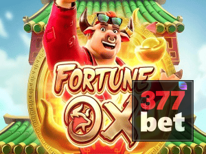BET377 login — painel de entrada no app oficial