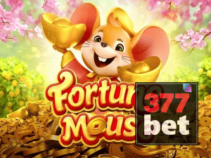 BET377 login — configurações de segurança e proteção de conta